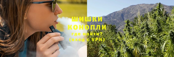 mdpv Новозыбков