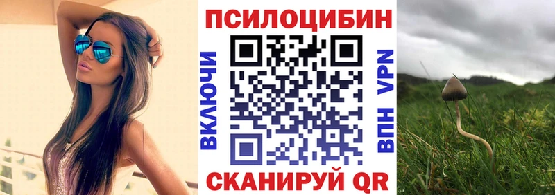 где продают наркотики  Владикавказ  Галлюциногенные грибы MAGIC MUSHROOMS 