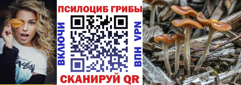 Псилоцибиновые грибы мухоморы Владикавказ