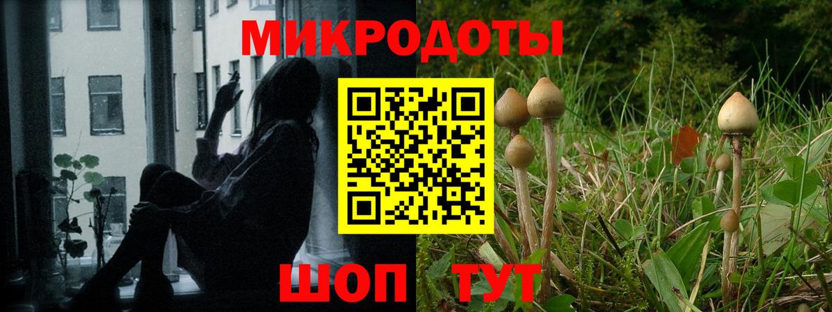 Галлюциногенные грибы Psilocybine cubensis  Вход с VPN  Владикавказ 